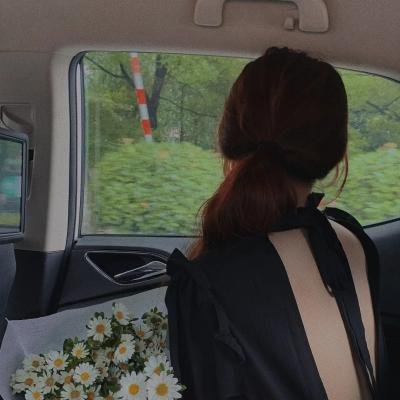 许纯纯的茶花运 海报